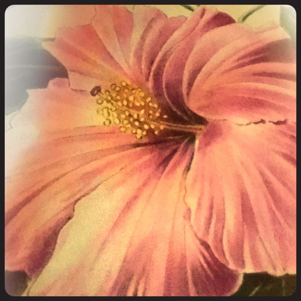 Meet your Posher, Lisha